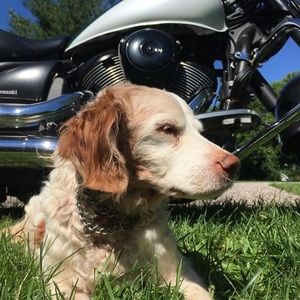 Meet your Posher, Carolyne